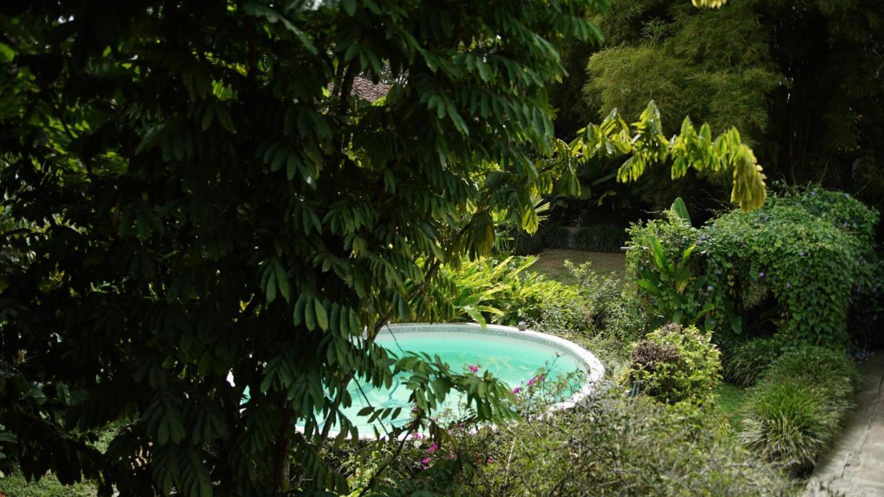Finca La Argelia Кимбайя Экстерьер фото